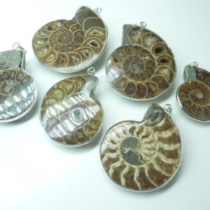 Pendentif Ammonite