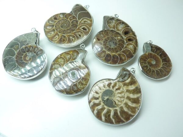 Pendentif Ammonite