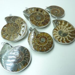 Pendentif Ammonite