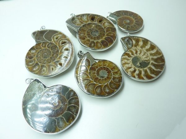 Pendentif Ammonite