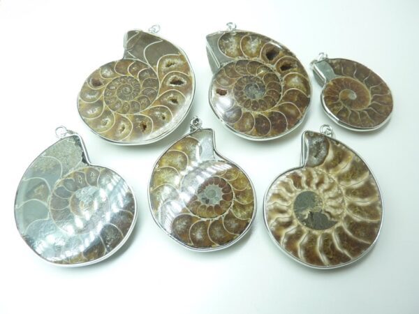 Pendentif Ammonite