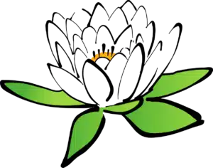 Les Symboles Spirituels et leurs secrètes significations