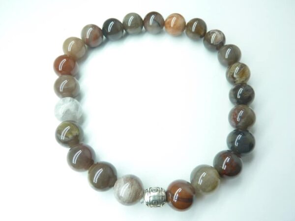 Bracelet Bois Fossilisé (Bois Pétrifié)