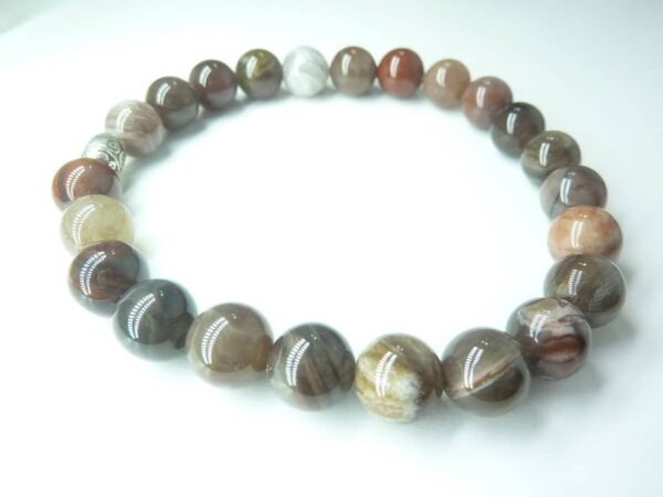 Bracelet Bois Fossilisé (Bois Pétrifié)