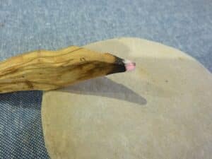 Les bienfaits du Palo Santo encens du bois sacré