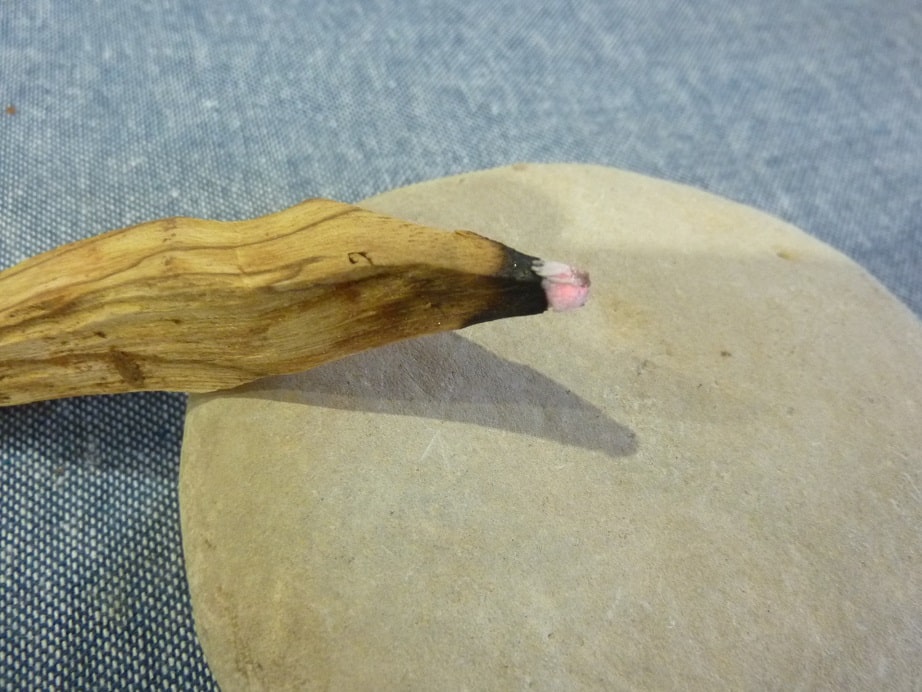 Les bienfaits du Palo Santo encens du bois sacré