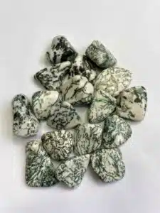 Agate Arbre : Origine, Propriétés et Bienfaits en Lithothérapie