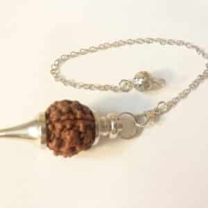 Pendule divinatoire Rudraksha 5 faces-Radiesthésie