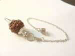 Pendule divinatoire Rudraksha 5 faces-Radiesthésie